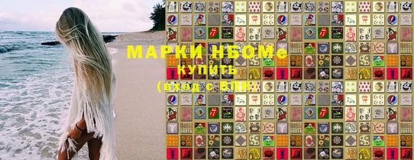 индика Алзамай
