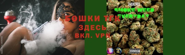 индика Алзамай