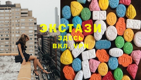 индика Алзамай