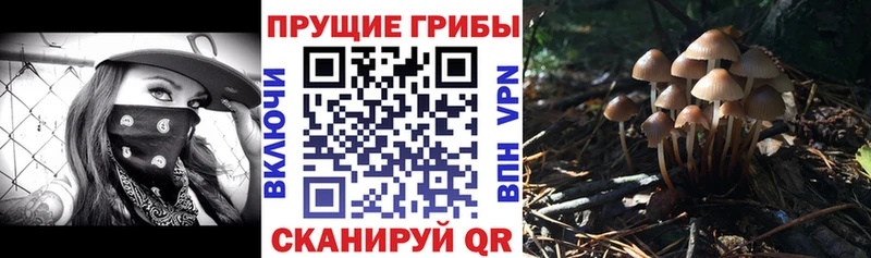Псилоцибиновые грибы GOLDEN TEACHER  Александровск 