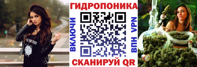 Каннабис планчик купить Александровск